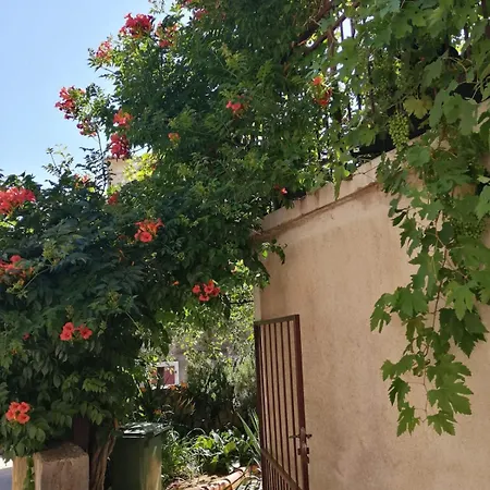 Unter Dem Feigenbaum! Gartenstudio * Višnjan