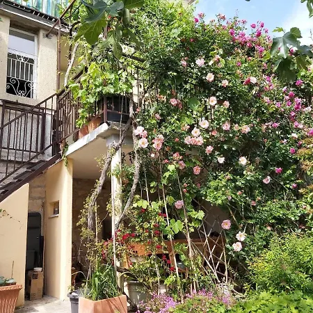 Unter Dem Feigenbaum! Gartenstudio Višnjan