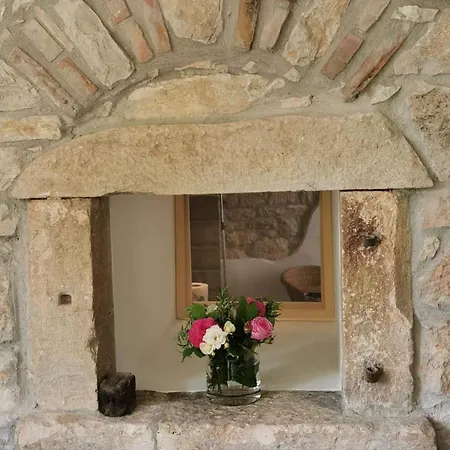 Unter Dem Feigenbaum! Gartenstudio شقة