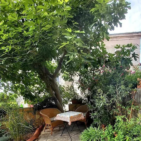Unter Dem Feigenbaum!