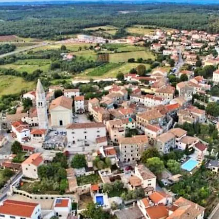 Unter Dem Feigenbaum! Gartenstudio Višnjan