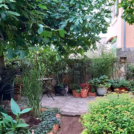 Unter Dem Feigenbaum! Gartenstudio شقة Višnjan