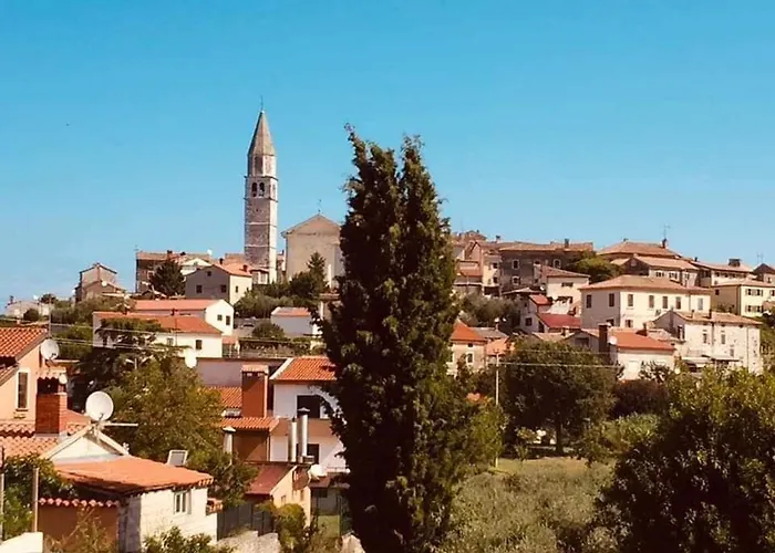 Unter Dem Feigenbaum! Gartenstudio * Visnjan