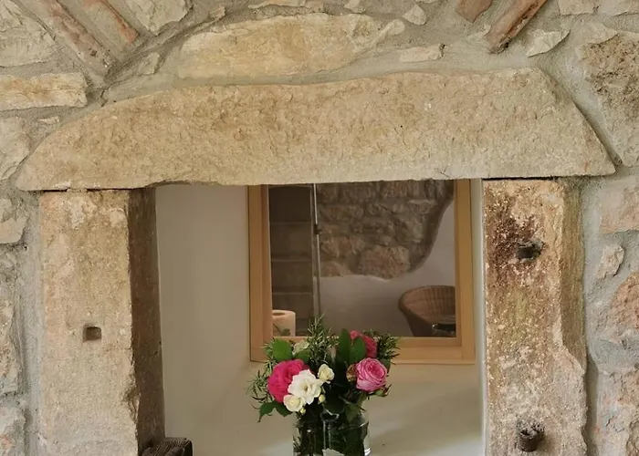 Unter Dem Feigenbaum! Gartenstudio Apartman