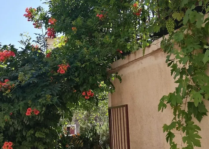 Unter Dem Feigenbaum! Gartenstudio * Visnjan