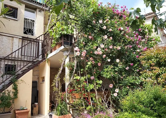 Unter Dem Feigenbaum! Gartenstudio Visnjan