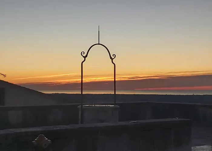 Unter Dem Feigenbaum! Gartenstudio *