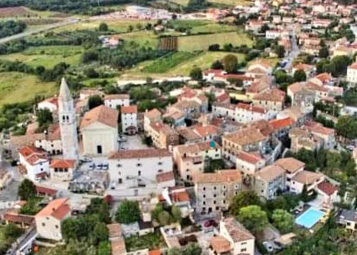 Unter Dem Feigenbaum! Gartenstudio Visnjan