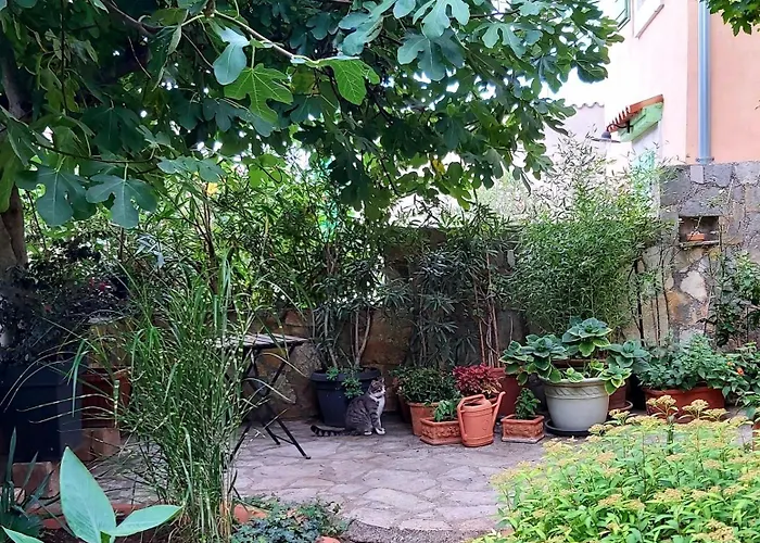 Unter Dem Feigenbaum! Gartenstudio Apartman Visnjan